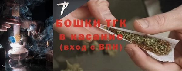 индика Балабаново