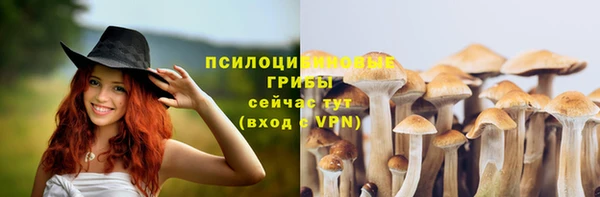 индика Балабаново