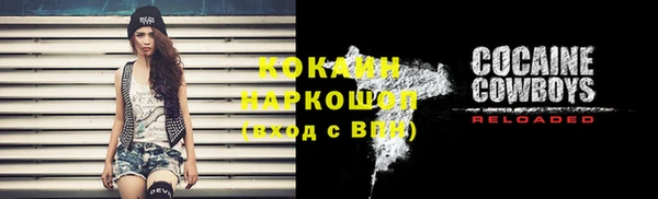 индика Балабаново