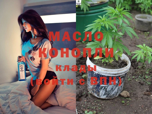 индика Балабаново