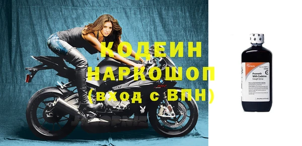 индика Балабаново