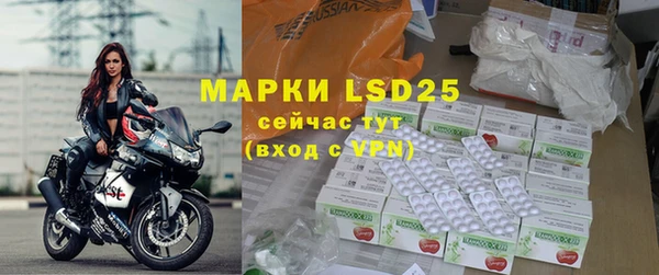 индика Балабаново